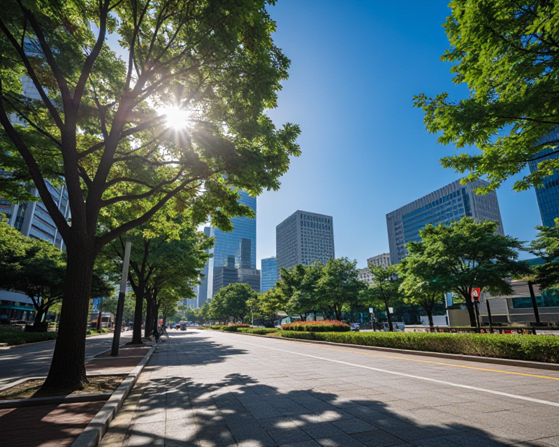 Sunny Morning in Seoul